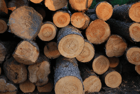 TARTAK ZIEWANICE ANNA JAROS-KUCIŃSKA, ARKADIUSZ KUCIŃSKI S.C.