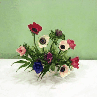 Kwiaciarnia Irmina Gołębiewska