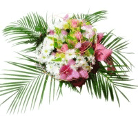 Kwiaciarnia Irmina Gołębiewska