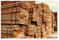 JAN JANICKI FIRMA HANDLOWO-USŁUGOWA "JANICKI"