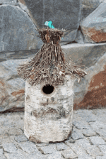 Centrum Ogrodnicze WITONA Tadeusz Wardakowski