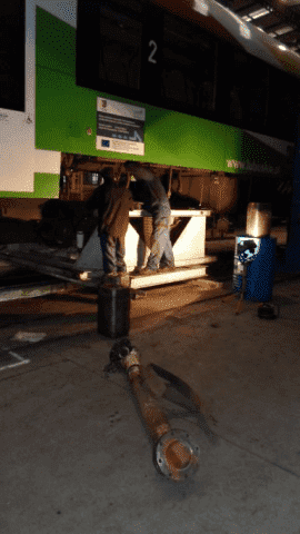 "SELUCH" SELKA DARIUSZ 