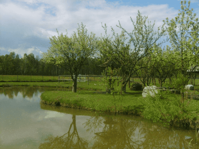 Pensjonat i Stajnia GRAND