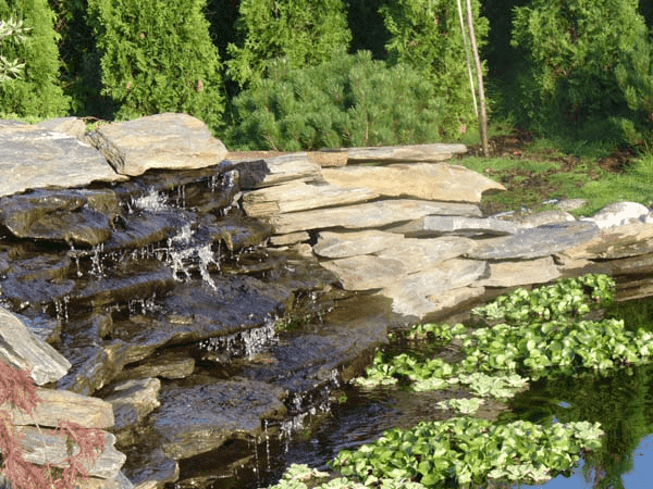 PARKI LASY OGRODY KRZYSZTOF SZYMONIAK