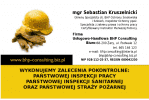 Sebastian Kruszelnicki Firma Usługowo-Handlowa BHP Consulting