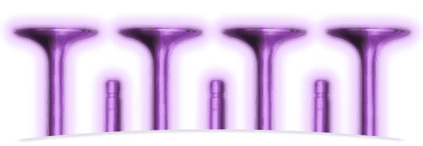 PARADOWSCY AMP Sp.j.