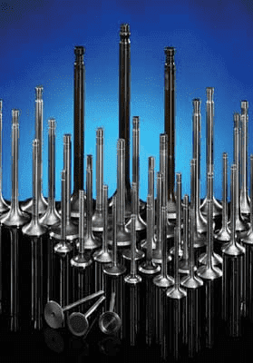 PARADOWSCY AMP Sp.j.