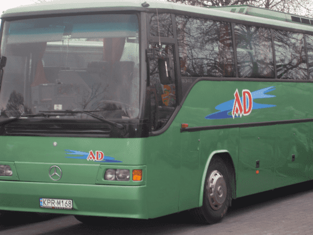 Transport osobowy MINI - BUS Andrzej Domagała