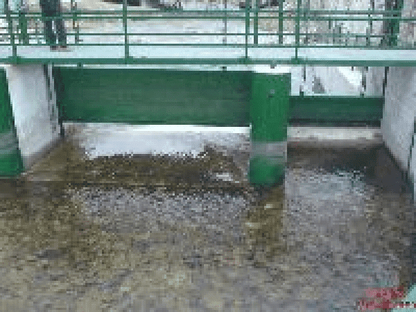 P.P.H. Tormex Sp. z o.o