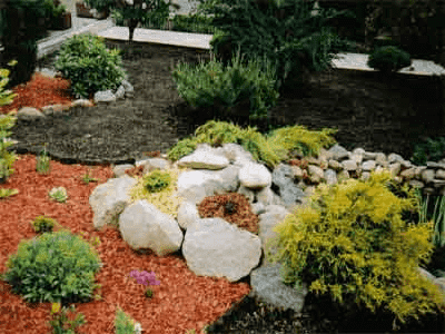 USŁUGI OGRODNICZE "TILIA" Wojciech Gołaś