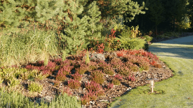 USŁUGI OGRODNICZE "TILIA" Wojciech Gołaś