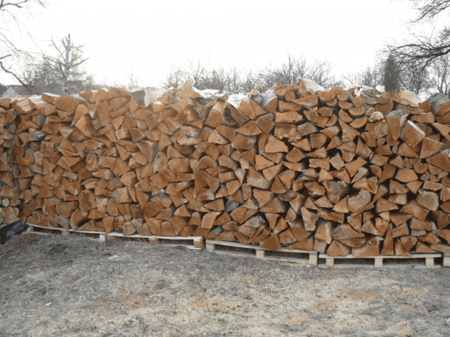 Maja. Sprzedaż brykietu drzewnego i drewna kominkowego