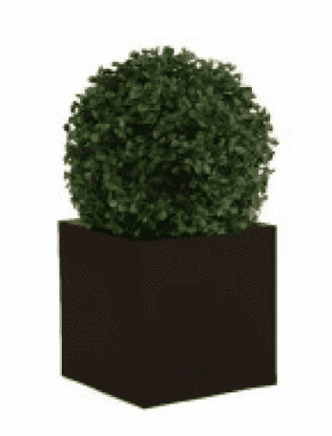 FMC Investment Polska Sp. z o.o.