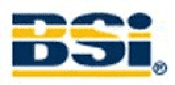 BSI Group Polska Sp. z o.o.