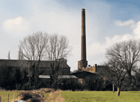 BSI Group Polska Sp. z o.o.