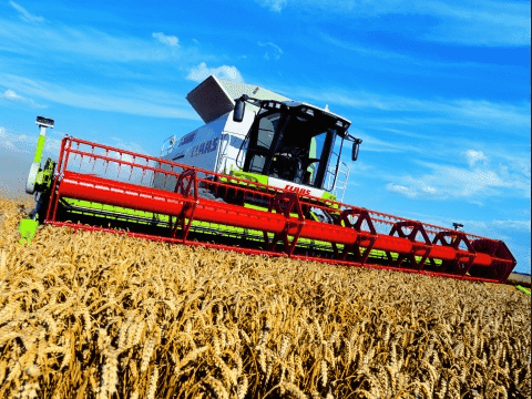 "MAGDALENA" ANETA KUJAWOWICZ