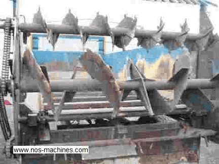 "MAGDALENA" ANETA KUJAWOWICZ