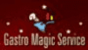 GASTRO MAGIC SERVICE