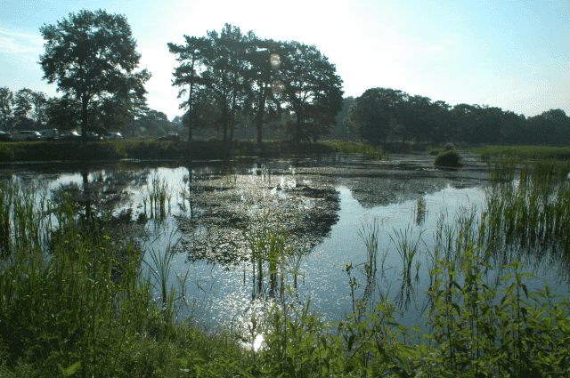 MINI BAR "SUM", STAWY RYBNE Jarzy Świderski