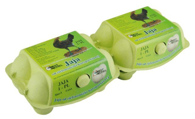 INVEST MICHEL Mariola Michelis, Marek Michelis Sp. J.