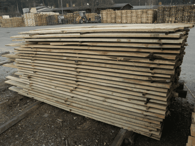 EWELINA KUBICA TARTAK-ANTONIN