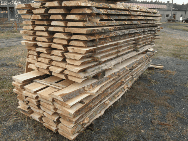 EWELINA KUBICA TARTAK-ANTONIN