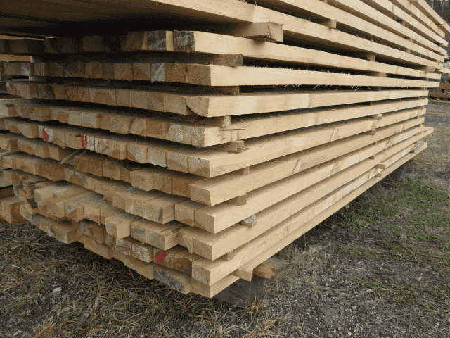 EWELINA KUBICA TARTAK-ANTONIN