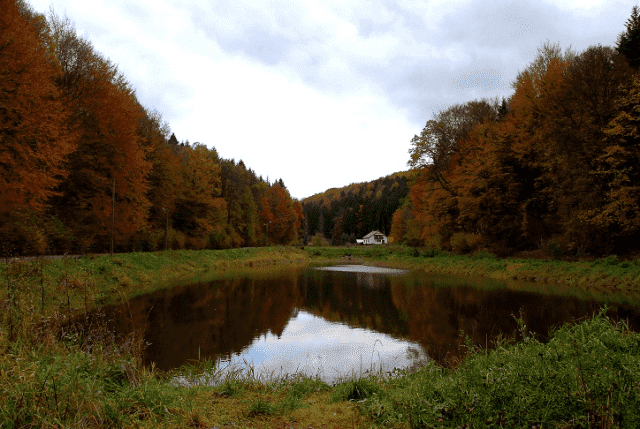 Agroturystyka ZACISZE