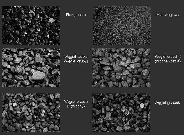 Jarkas Katarzyna Jarczyk