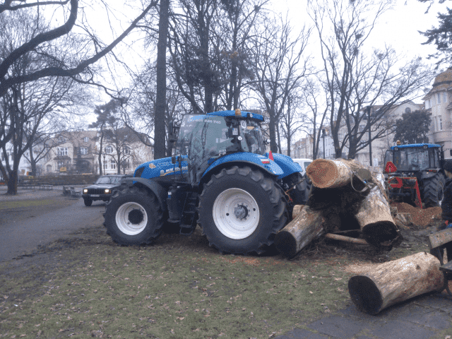 Quercus Krzysztof Kardasz