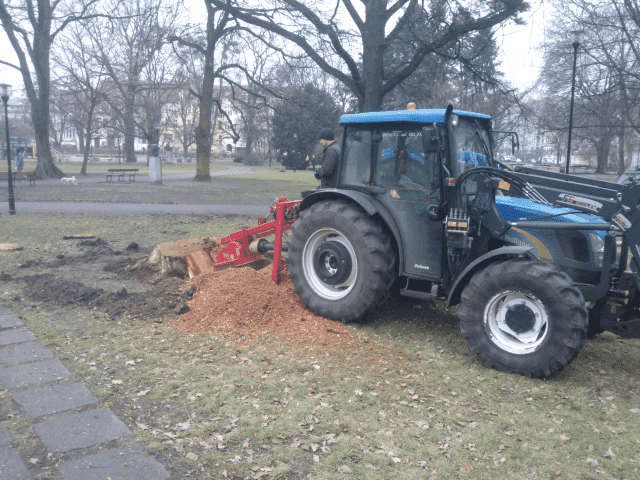 Quercus Krzysztof Kardasz