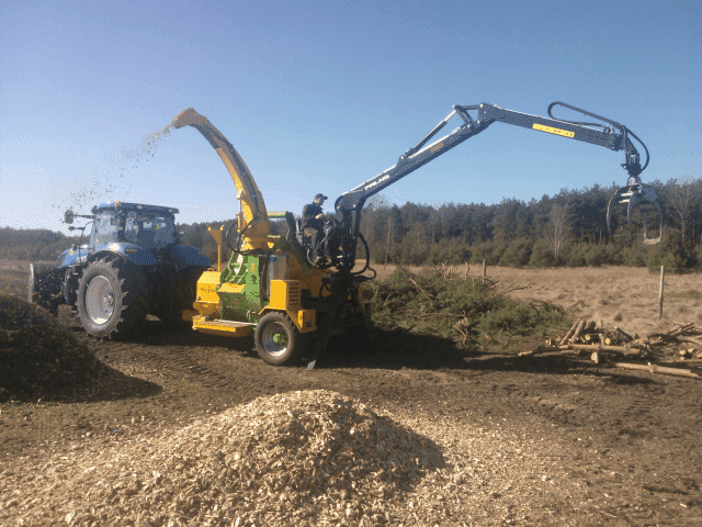 Quercus Krzysztof Kardasz