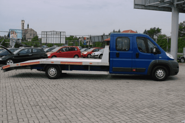 ALFA Krzysztof Kaczka