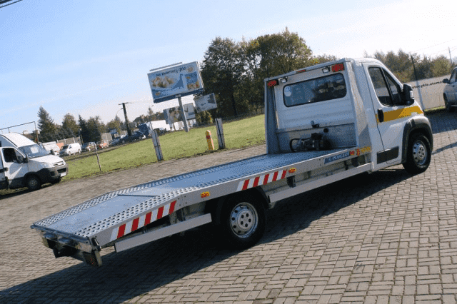 ALFA Krzysztof Kaczka