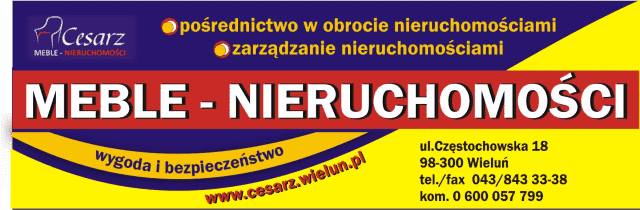 Cesarz Piotr. Meble. Nieruchomości
