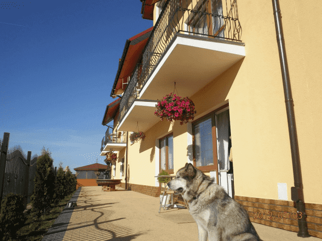 Pokoje Goscinne " ORKA "