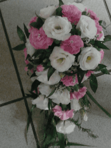 PHU "FUKSJA" Monika Fukas