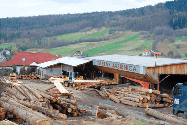TARTAK ZDZISŁAW PROFIC
