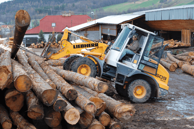 TARTAK ZDZISŁAW PROFIC