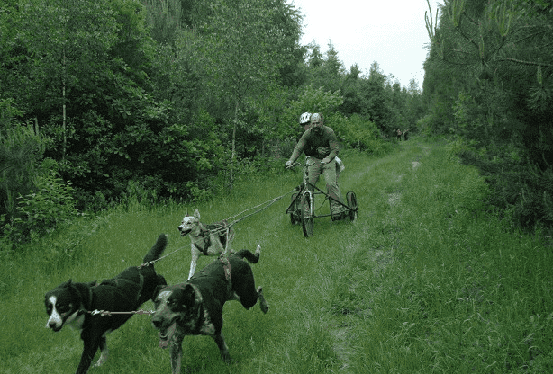 Wilczy Jar Stanisław Harat