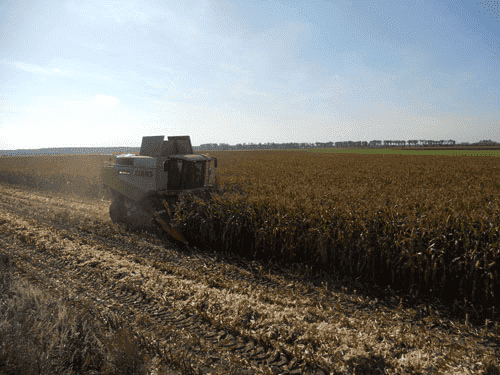 AGRONOWAK Mariusz Nowak