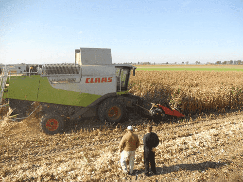 AGRONOWAK Mariusz Nowak