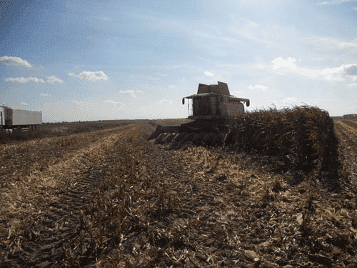 AGRONOWAK Mariusz Nowak