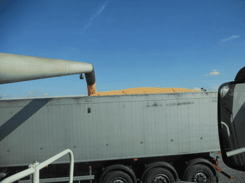 AGRONOWAK Mariusz Nowak