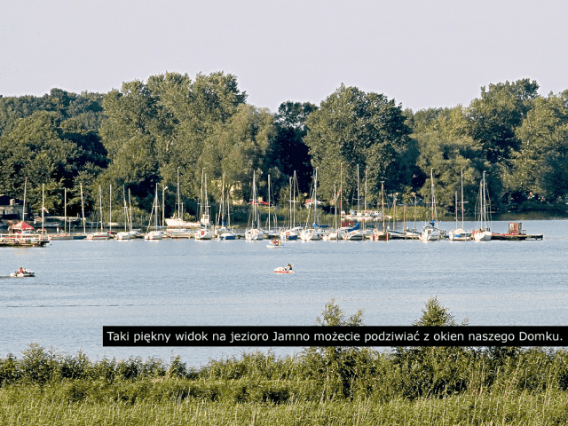 Domek w Kratkę Filip Juszkiewicz