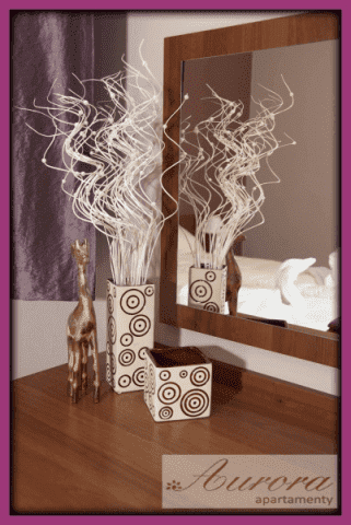 Apartamenty '' Aurora '' Katarzyna Lal