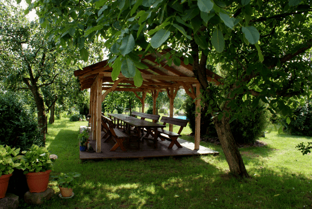 Pod Brzozą. Gospodarstwo agroturystyczne. Bujak K.A.