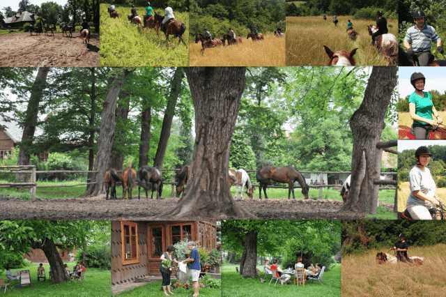 AGRTURYSTYKA JAZDA KONNA "DWÓR TRZEŚNIÓW"