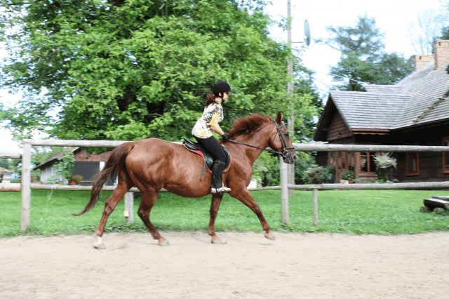 AGRTURYSTYKA JAZDA KONNA "DWÓR TRZEŚNIÓW"