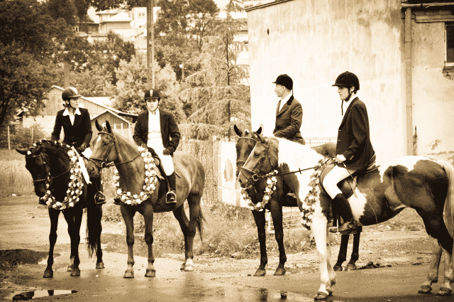 AGRTURYSTYKA JAZDA KONNA "DWÓR TRZEŚNIÓW"